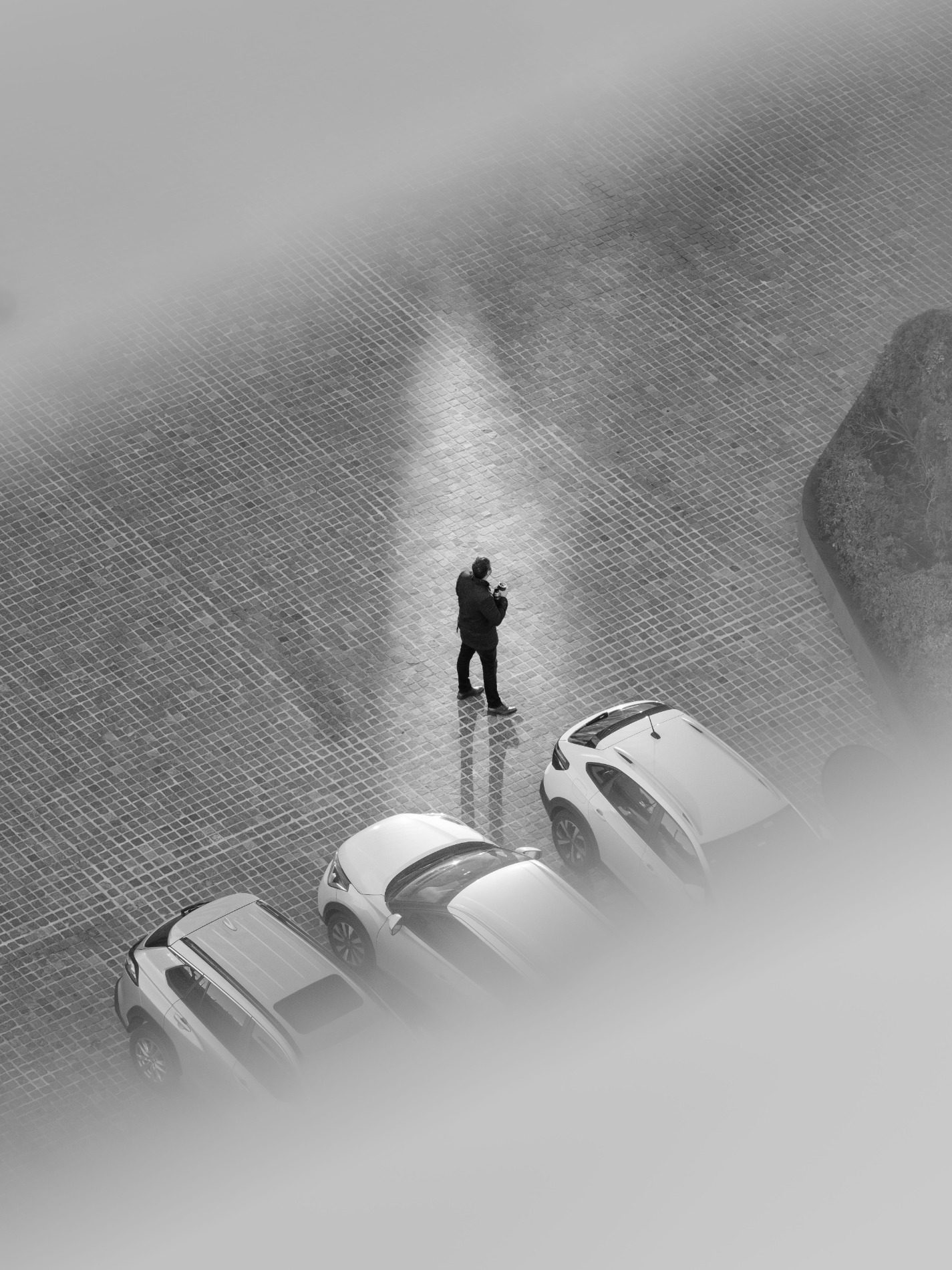 Fotografie echipă / parcare Hamos Parcare